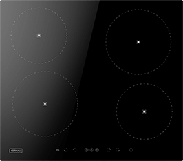 Induktionsfeld Reparatur Freiberg